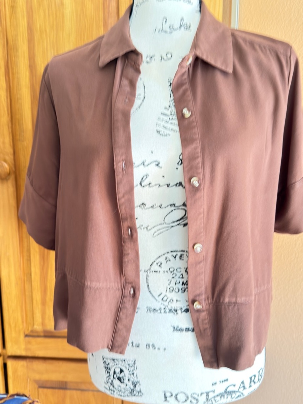 Rose & Olive brown Button-Front Crop Top